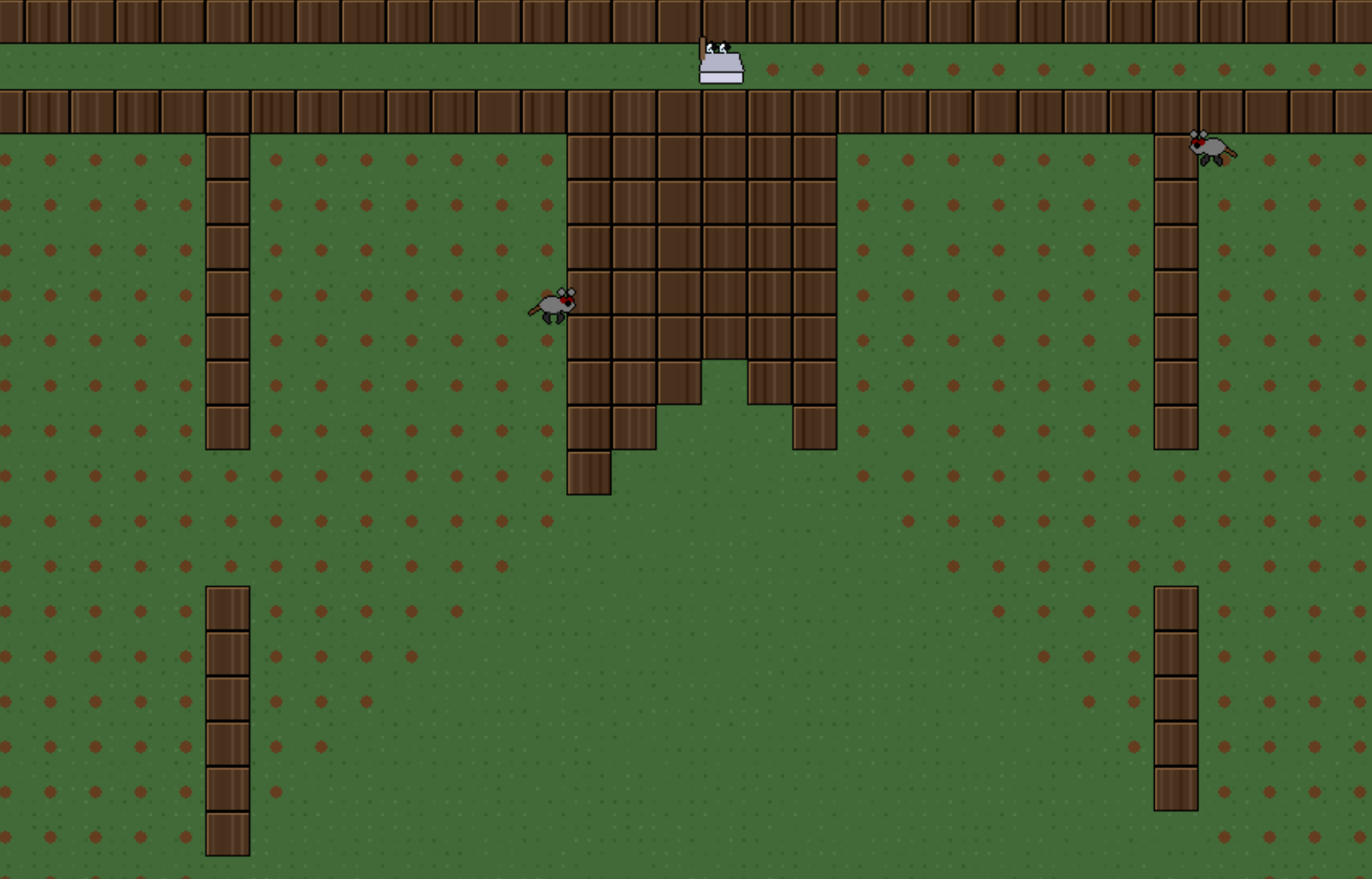 The Forest